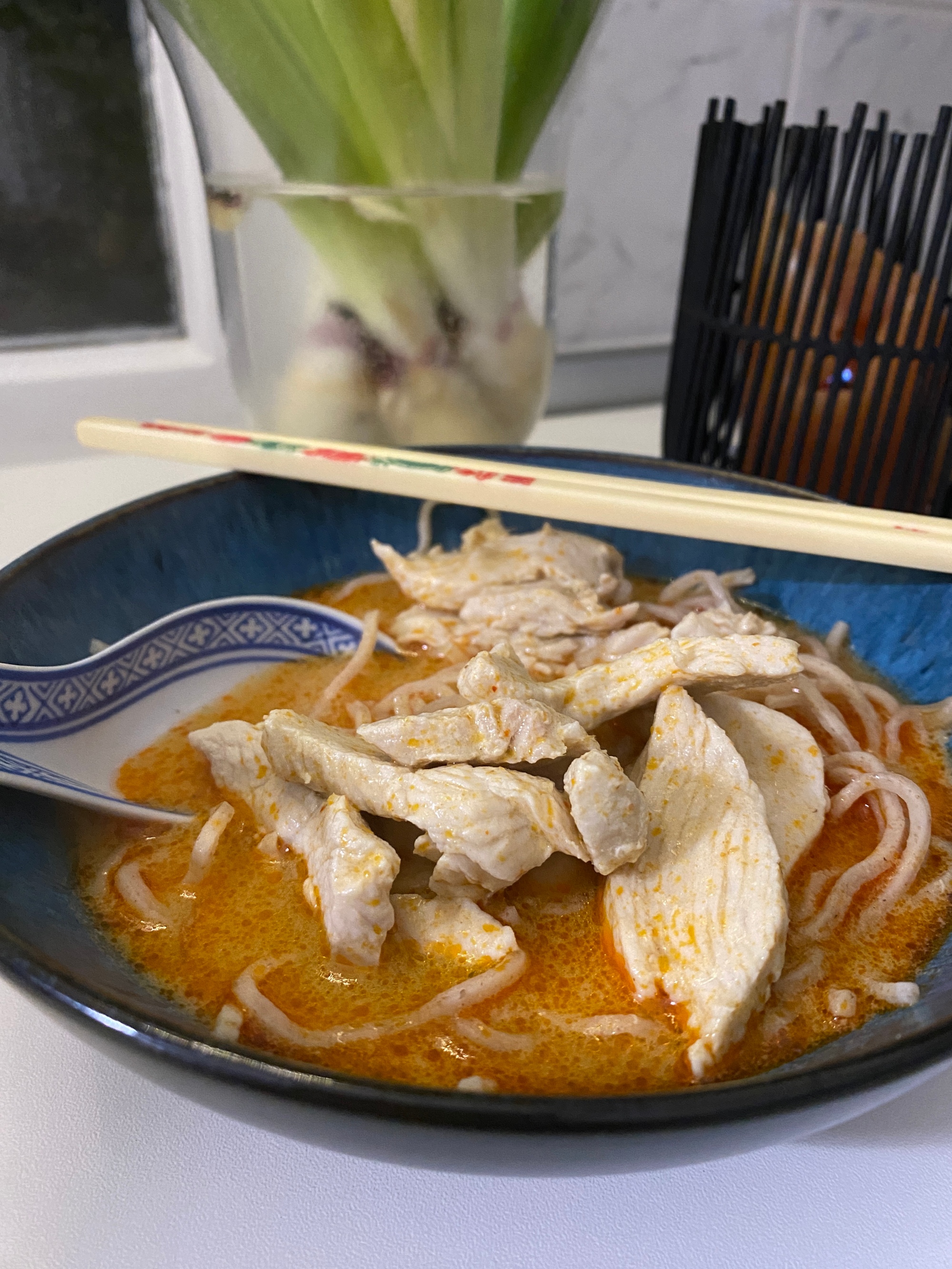 Thailändische Curry-Nudelsuppe mit Huhn – Seebymanu